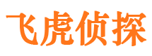 泗县市侦探